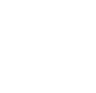 P-Logo-White